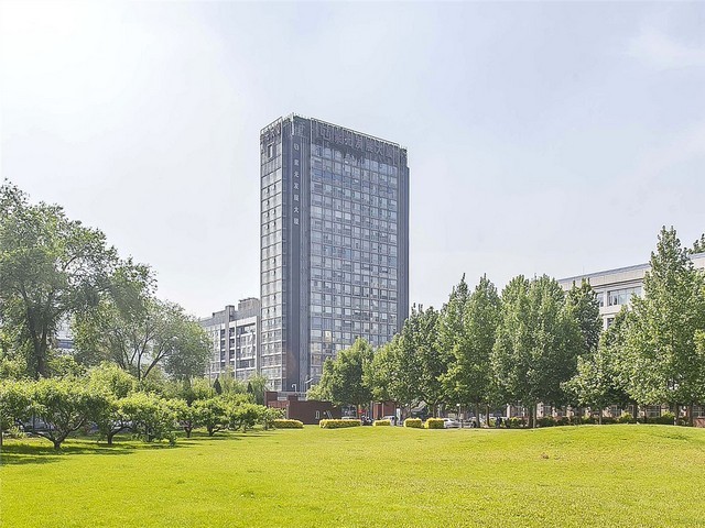 中山阜沙玉米胚芽米加工